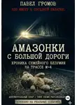Павел Громов - «Амазонки» с большой дороги: Хроника семейного безумия на трассе М-4