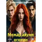 Постер книги Между двумя огнями