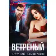 Постер книги Ветреный
