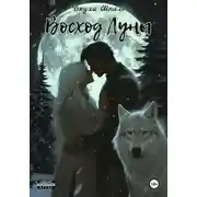 Постер книги Восход Луны