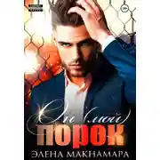 Постер книги Он мой порок