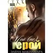 Постер книги Мой (не) герой