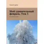 Постер книги Мой удивительный февраль. Том 3. Воспоминания души