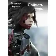 Постер книги Поймать тень