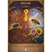 Постер книги PIN-OK