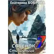 Постер книги Стихийница. Совенок 7