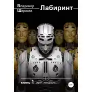 Постер книги Лабиринт
