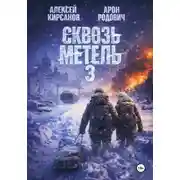 Постер книги Сквозь метель 3