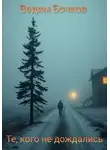 Вадим Бочков - Те, кого не дождались