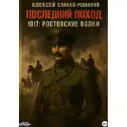 Постер книги Последний поход 1917: Ростовские волки