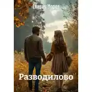 Постер книги Разводилово