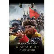 Постер книги Красавчик. Аустерлиц