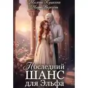 Постер книги Последний шанс для эльфа