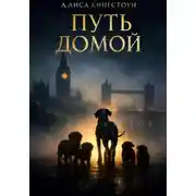 Постер книги Путь домой