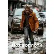 Постер книги Лох воплоти