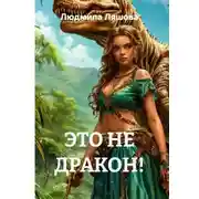Постер книги ЭТО НЕ ДРАКОН!