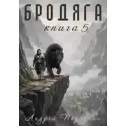 Постер книги Бродяга Книга пятая