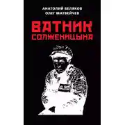Постер книги Ватник Солженицына