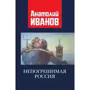 Постер книги Непогрешимая Россия
