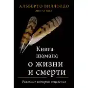 Постер книги Книга шамана о жизни и смерти. Реальные истории исцеления
