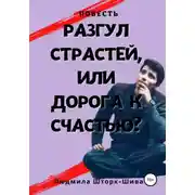 Постер книги Разгул страстей, или Дорога к счастью