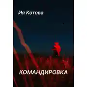 Постер книги Командировка