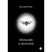 Постер книги Мотылёк в темноте