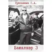 Постер книги Бакалавр 3