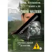 Постер книги Путь Черной молнии 3