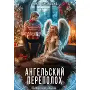 Постер книги Ангельский переполох