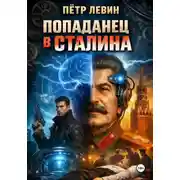 Постер книги Попаданец в Сталина