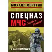 Постер книги В каменном мешке