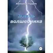 Постер книги Жизнь волшебника
