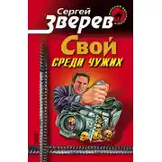 Постер книги Мент: Свой среди чужих