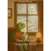 Постер книги Приключения Черепахи Риты