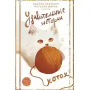 Постер книги Удивительные истории о котах