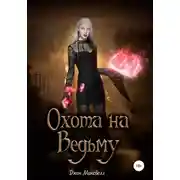 Постер книги Охота на Ведьму