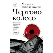 Постер книги Чертово колесо