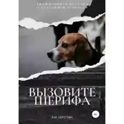 Постер книги Вызовите шерифа