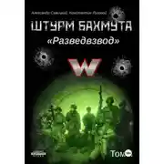 Постер книги Штурм Бахмута. Разведвзвод. Том II