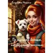 Постер книги По щучьему веленью, по звездному хотенью