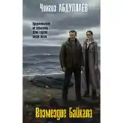 Постер книги Возмездие Байкала