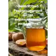 Постер книги Чайный гриб. Революционный метод выращивания и разведения