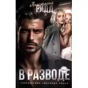 Постер книги В разводе