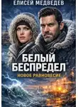 Елисей Медведев - Белый беспредел. Новое равновесие