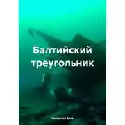 Постер книги Балтийский треугольник