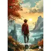 Постер книги Серебро