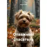 Постер книги Отважный спасатель