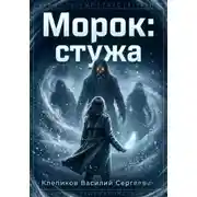 Постер книги Морок: Стужа