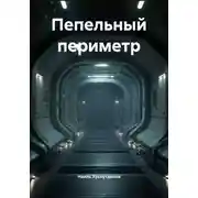 Постер книги Пепельный периметр